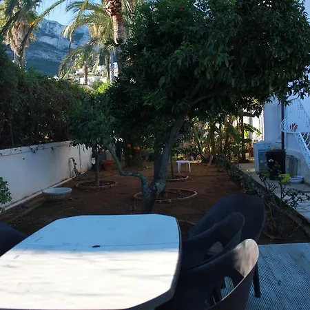 Amapola *